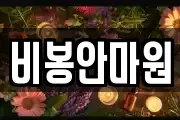 비봉안마원