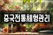 중국전통체형관리