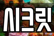 시크릿