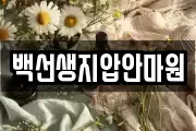 백선생지압안마원