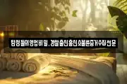 탐정들의영업비밀,경찰출신흥신소불륜증거수집전문