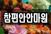 참편안안마원