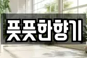 풋풋한향기