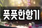 풋풋한향기