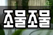 조물조물