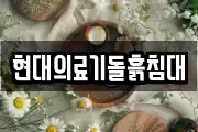 현대의료기돌흙침대
