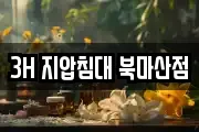 3H 지압침대 북마산점