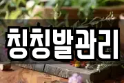칭칭발관리