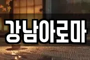 강남아로마