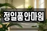 정일품안마원