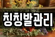 칭칭발관리