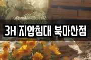 3H 지압침대 북마산점