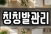 칭칭발관리