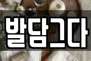발담그다