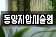 동양지압시술원