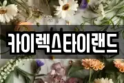 경상남도 창원시 성산구 귀곡동 마사지, 지압등 업체정보