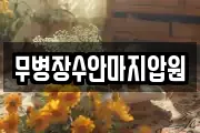 무병장수안마지압원
