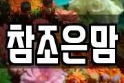 참조은맘