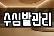 수심발관리