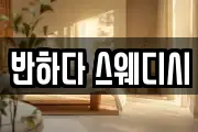 반하다 스웨디시