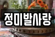 정미발사랑