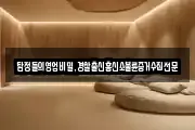 탐정들의영업비밀,경찰출신흥신소불륜증거수집전문