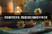 탐정들의영업비밀,경찰출신흥신소불륜증거수집전문