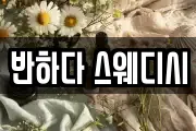 반하다 스웨디시