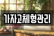 가자고체형관리