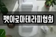 펫아로마테라피협회