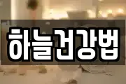 하늘건강법