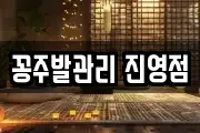 꽁주발관리 진영점
