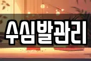 수심발관리