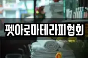 펫아로마테라피협회