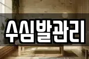 수심발관리