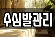 수심발관리