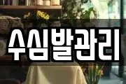 수심발관리