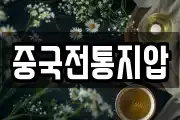 중국전통지압