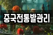 중국전통발관리