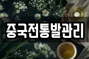 중국전통발관리