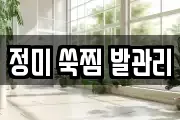 경상남도 창원시 의창구 소답동 마사지, 지압등 업체정보