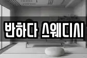 반하다 스웨디시