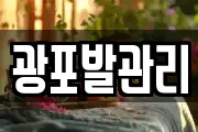 광포발관리