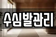 수심발관리