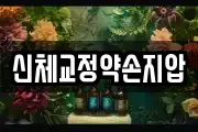 신체교정약손지압