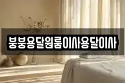 붕붕용달원룸이사용달이사
