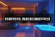 탐정들의영업비밀,경찰출신흥신소불륜증거수집전문