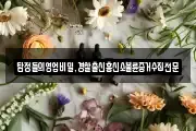 탐정들의영업비밀,경찰출신흥신소불륜증거수집전문