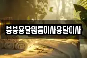 붕붕용달원룸이사용달이사