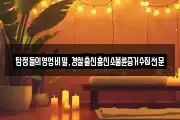탐정들의영업비밀,경찰출신흥신소불륜증거수집전문